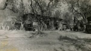 Lucera - Battalion Motor Pool, 12-10-1944 - Foto di Albert Change