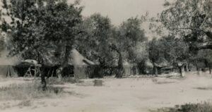 Lucera - View of Camp il 13-06-1944 - Foto di Albert Change