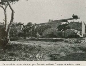 Lucera - Campagne lucerine - Gli orti di Lucera dal libro di Francesco TROTTA - 1934 - Foto di Antonio Iliceto