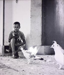 Lucera . Mangione Vincenzo nel cortile del palazzo Curato 1954 - Foto fornita da Lucia De Luca