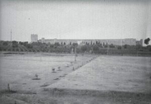 Lucera - Opera San Giuseppe in Pian de' Puledri. . Il viale che si vede è l'attuale viale della madonnina che sarà realizzato nel 1954